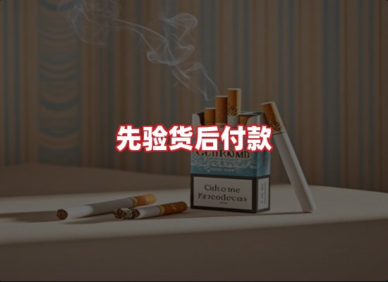 专业团队